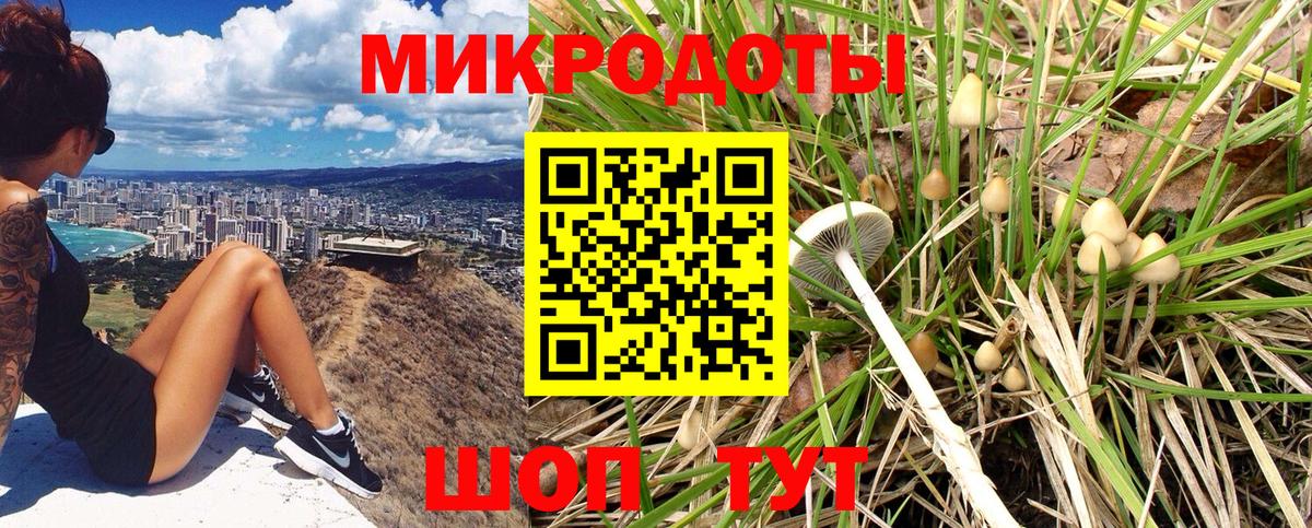 Галлюциногенные грибы Psilocybe  Вход с VPN  Курск  Галлюциногенные грибы прущие грибы 